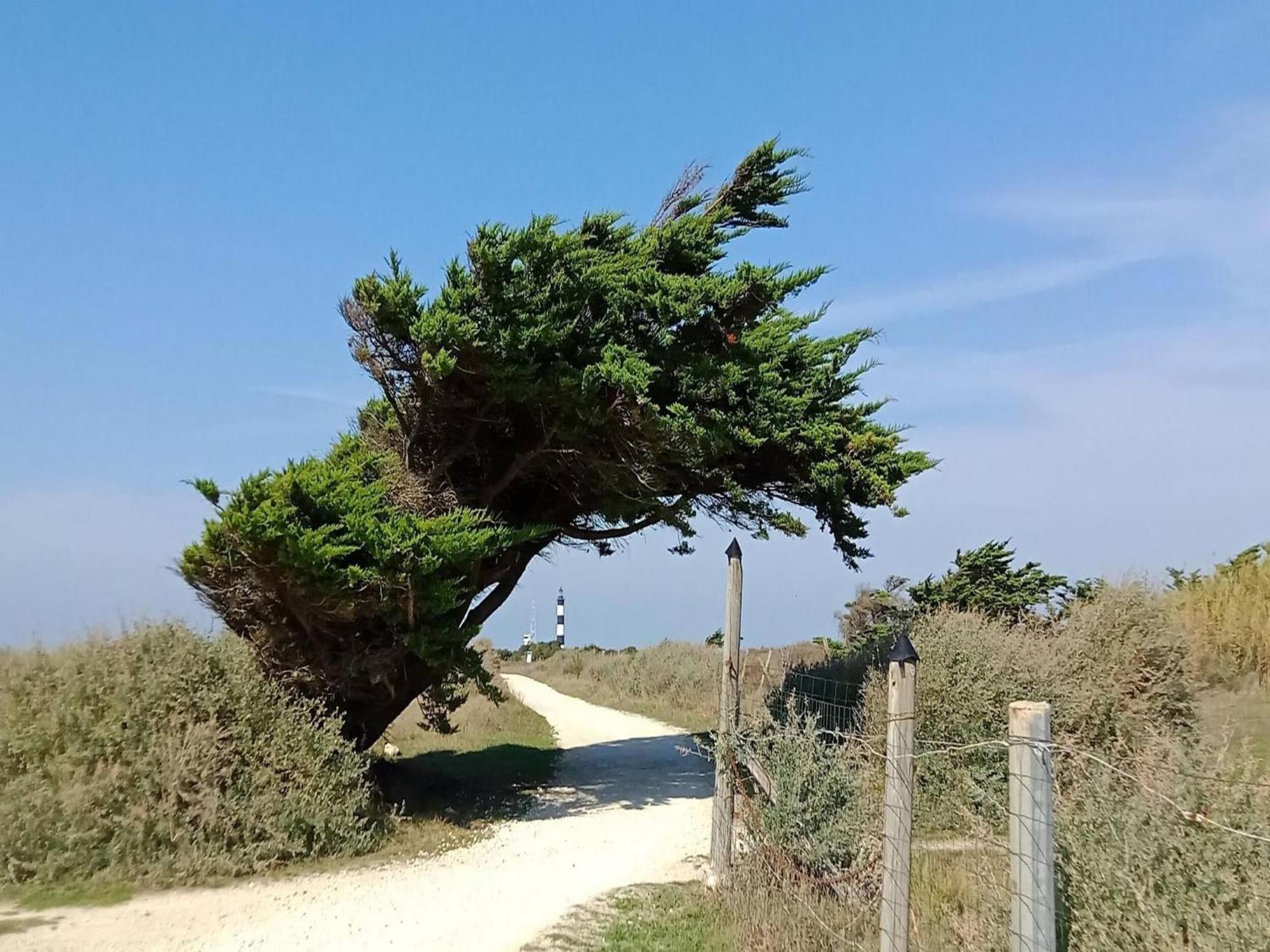 Les Hameaux Des Sables Vignie Saint Georges D Ol Ron Holiday Home Not Detached Zewnętrze zdjęcie